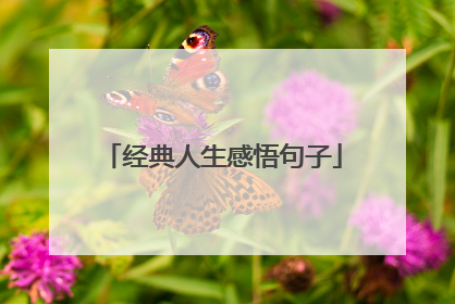 经典人生感悟句子