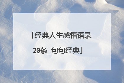 经典人生感悟语录20条_句句经典