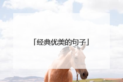 经典优美的句子