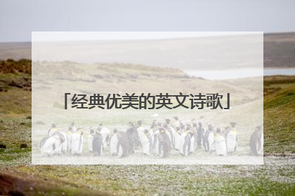 经典优美的英文诗歌