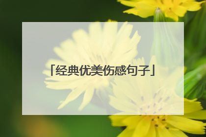 经典优美伤感句子