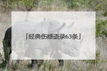 经典伤感语录63条