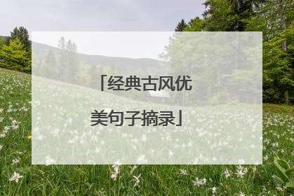 经典古风优美句子摘录