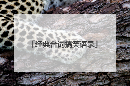 经典台词搞笑语录