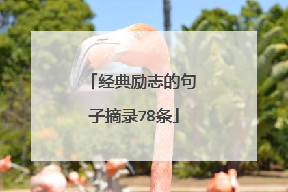 经典励志的句子摘录78条