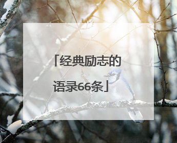 经典励志的语录66条