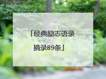 经典励志语录摘录89条