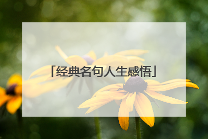 经典名句人生感悟