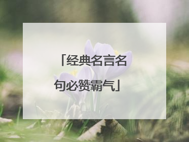 经典名言名句必赞霸气