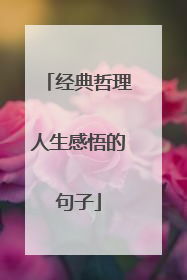 经典哲理人生感悟的句子