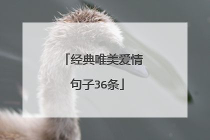 经典唯美爱情句子36条