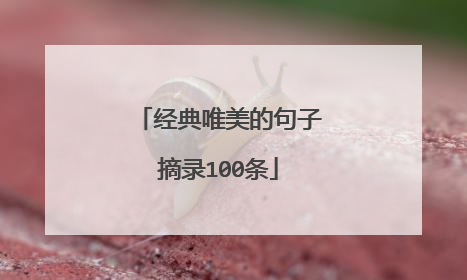 经典唯美的句子摘录100条