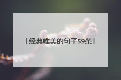 经典唯美的句子59条