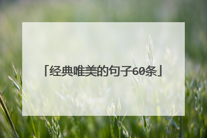 经典唯美的句子60条