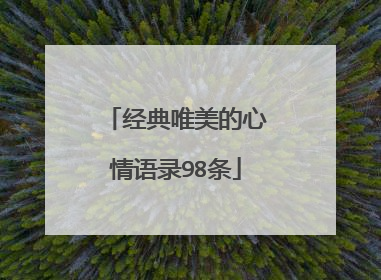 经典唯美的心情语录98条
