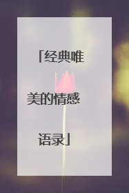 经典唯美的情感语录