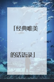 经典唯美的话语录