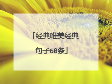 经典唯美经典句子60条