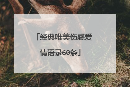 经典唯美伤感爱情语录60条