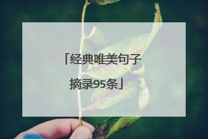 经典唯美句子摘录95条
