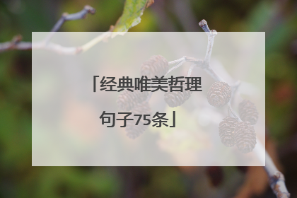 经典唯美哲理句子75条
