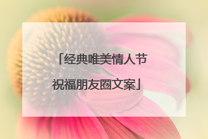 经典唯美情人节祝福朋友圈文案