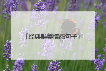 经典唯美情感句子