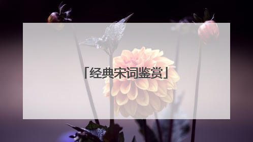 经典宋词鉴赏