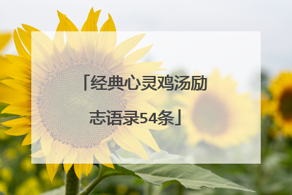经典心灵鸡汤励志语录54条