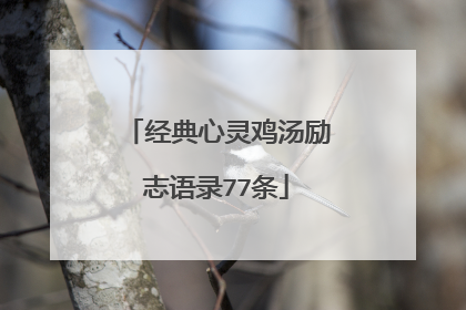 经典心灵鸡汤励志语录77条