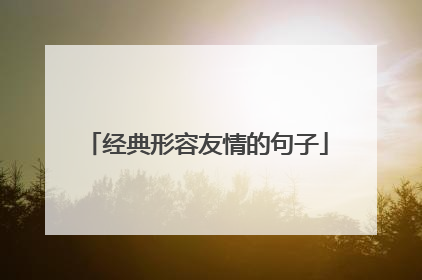 经典形容友情的句子