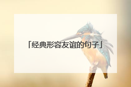 经典形容友谊的句子