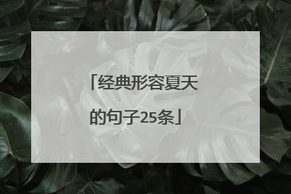 经典形容夏天的句子25条