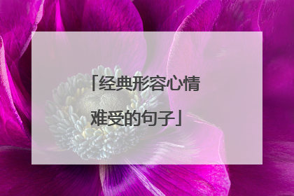 经典形容心情难受的句子