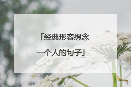 经典形容想念一个人的句子