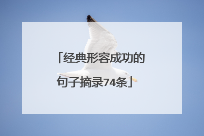经典形容成功的句子摘录74条