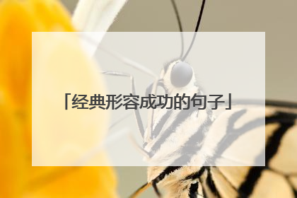 经典形容成功的句子