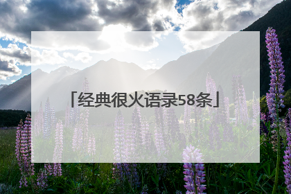 经典很火语录58条