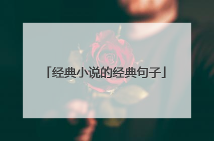 经典小说的经典句子