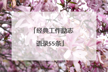 经典工作励志语录55条