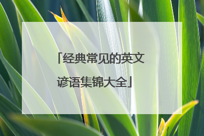 经典常见的英文谚语集锦大全