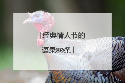 经典情人节的语录80条