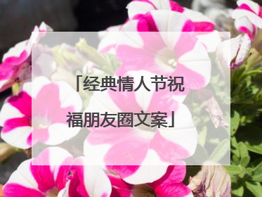 经典情人节祝福朋友圈文案