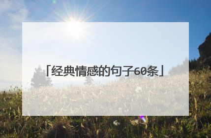 经典情感的句子60条
