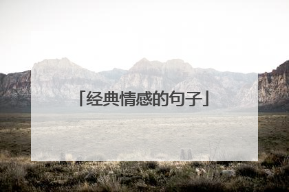 经典情感的句子
