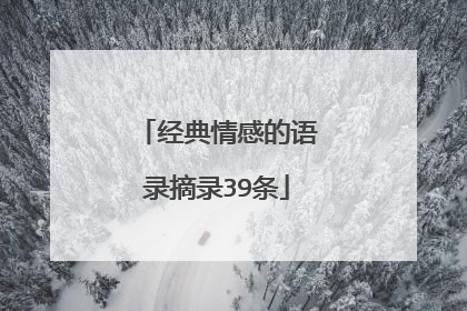 经典情感的语录摘录39条