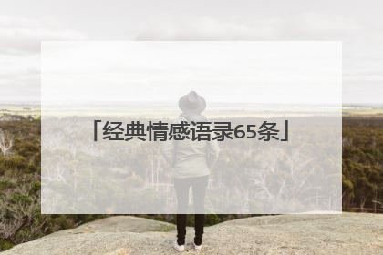 经典情感语录65条