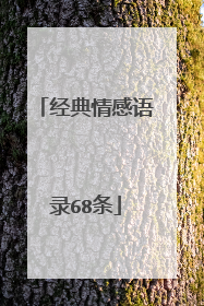 经典情感语录68条