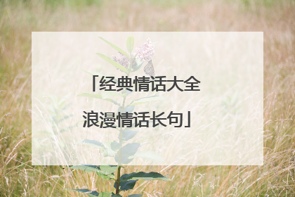 经典情话大全浪漫情话长句