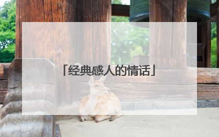 经典感人的情话